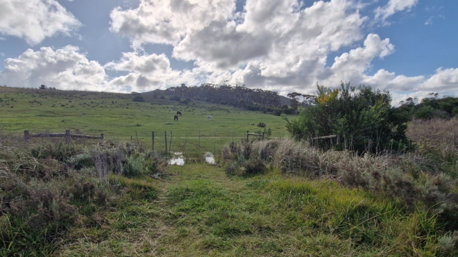 Commercial Property for Sale in Baardskeerdersbos Western Cape